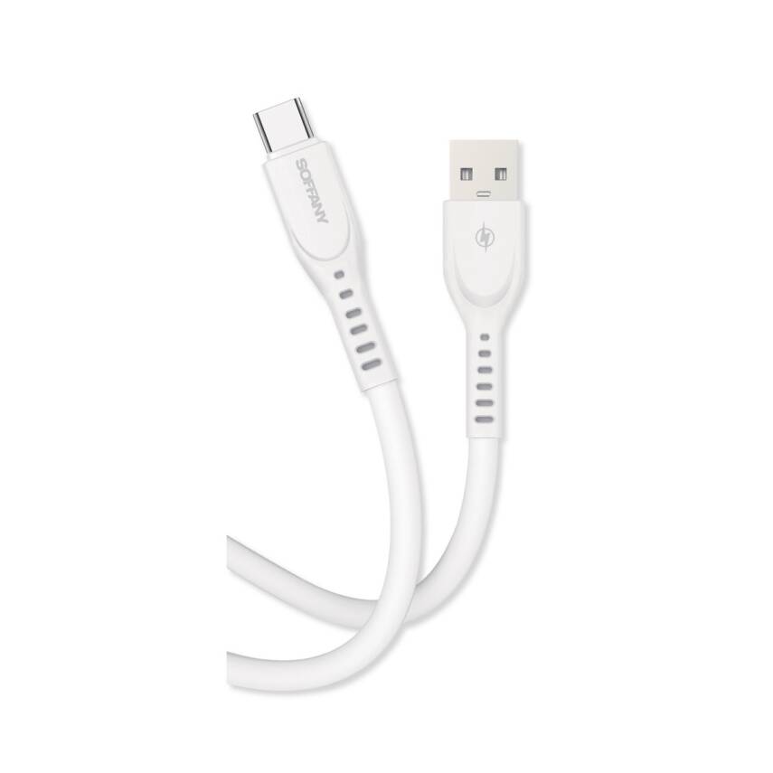Hızlı USB to Type-C Şarj ve Data Kablosu - 1